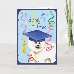 Bichon Frise student Kort