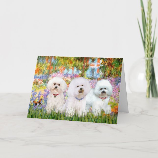 Bichon Frise Trio - Trädgård (VG) Kort (Framsida)