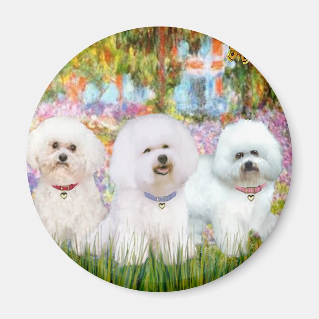 Bichon Frise Trio - Trädgård (VG) Magnet (Framsidan)