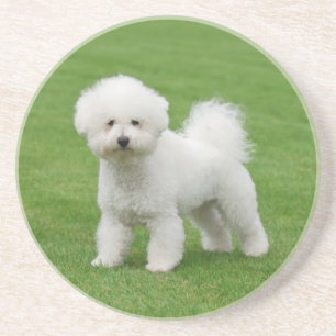 Bichon Frise Underlägg