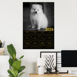 Bichon Frise Valp 2026 Kalender Poster