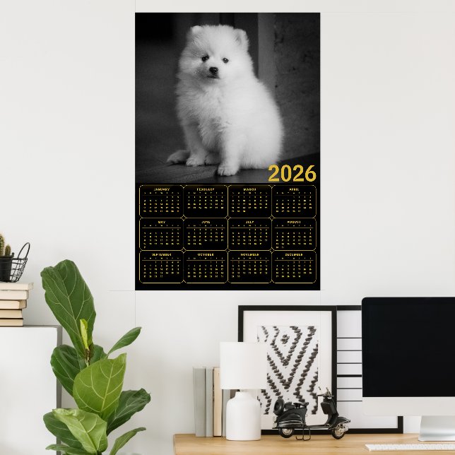 Bichon Frise Valp 2026 Kalender Poster (Hemmakontoret)