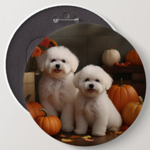 Bichon Frise Valp Höstglädje Pumpa Knapp