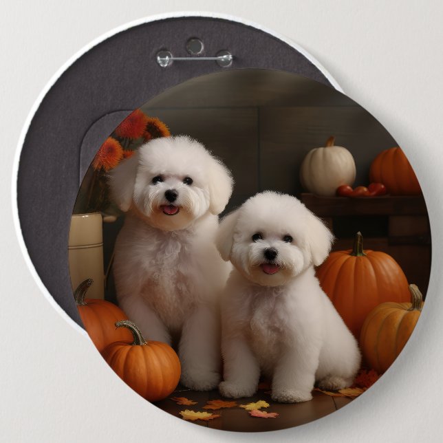 Bichon Frise Valp Höstglädje Pumpa  Knapp (Framsida & baksida)