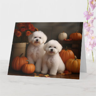 Bichon Frise Valp Höstglädje Pumpa Kort