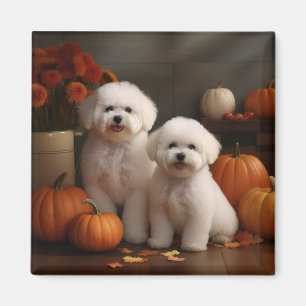 Bichon Frise Valp Höstglädje Pumpa Magnet