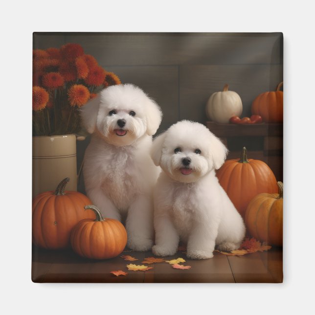 Bichon Frise Valp Höstglädje Pumpa  Magnet (Framsidan)