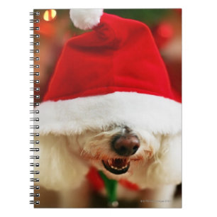 Bichon Frise valp som ha på sig den Santa dräkten Anteckningsbok