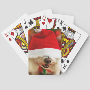 Bichon Frise valp som ha på sig den Santa dräkten Casinokort