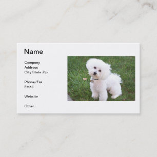 Bichon Frise visitkort