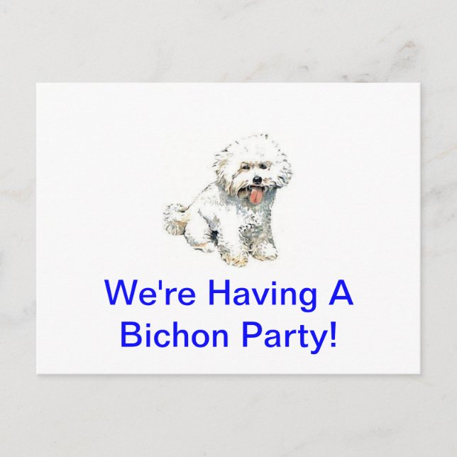 Bichon Frise Vykort (Framsida)