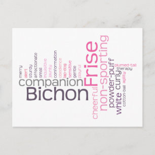 Bichon Frise Vykort