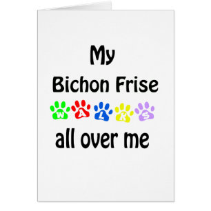 Bichon Frise Walks Design Hälsningskort