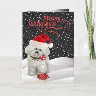 Bichon Fritt ett hälsningskort för God jul Helgkort