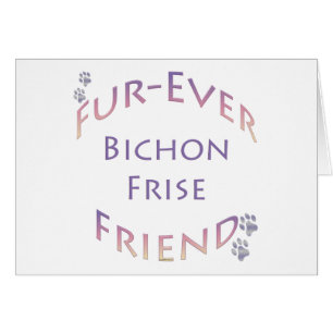Bichon Furever Hälsningskort