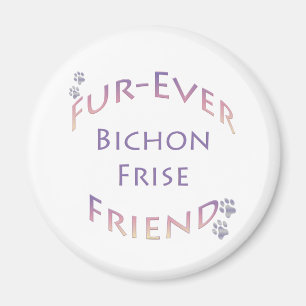 Bichon Furever Magnet