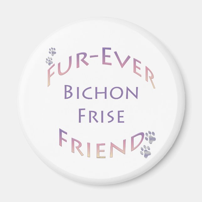 Bichon Furever Magnet (Framsidan)