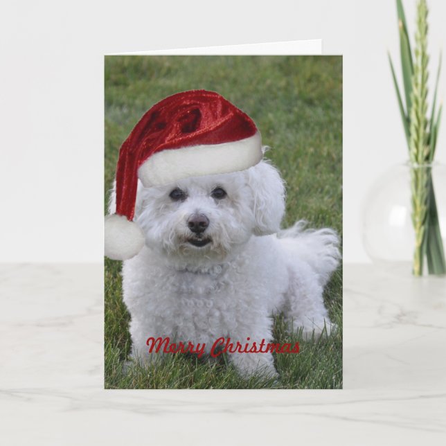 Bichon God jul Helgkort (Framsida)