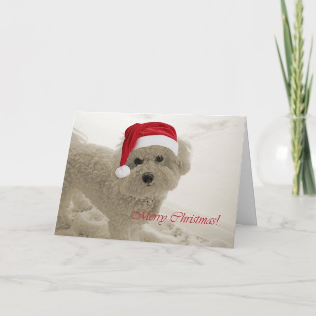 Bichon god jul helgkort (Framsida)