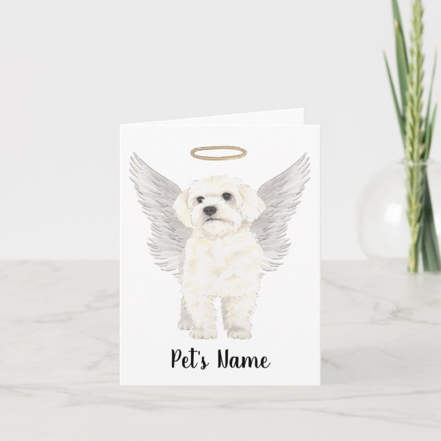 Bichon Havanese Maltese Sympathy Memorial Kort (Framsida)
