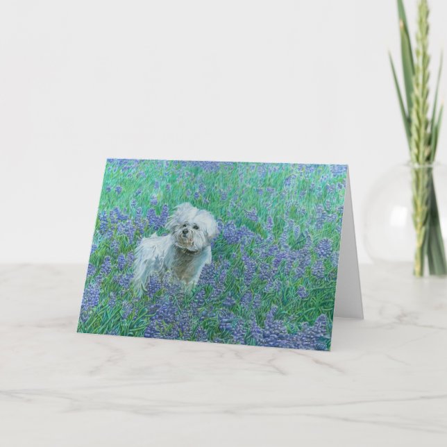 Bichon i Bluebonnets Välkomstkort Kort (Framsida)