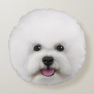 Bichon kudder den Frise illustrerade rundan Rund Kudde