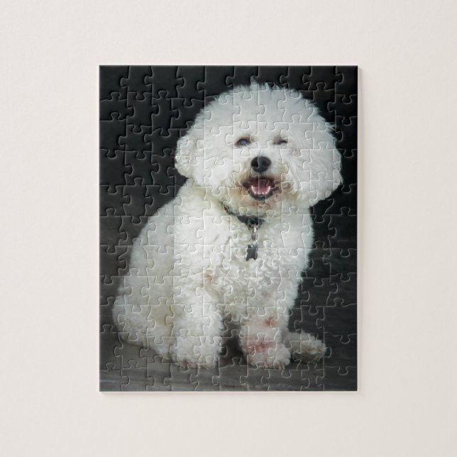 Bichon Pussel (Vertikal)