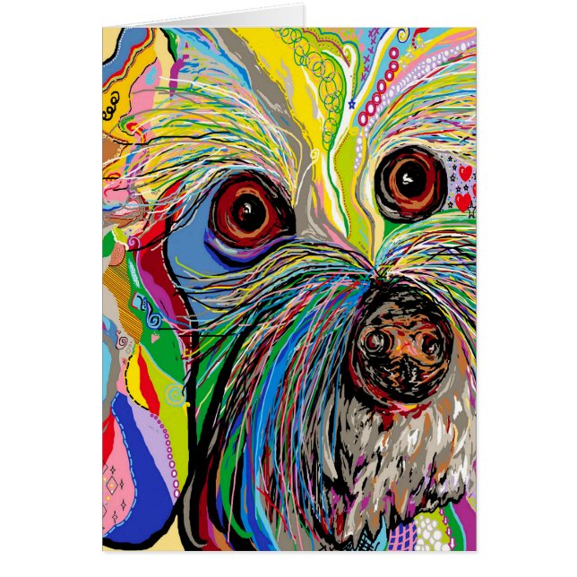 Bichon.  Sko manen Hälsningskort (Framsidan)