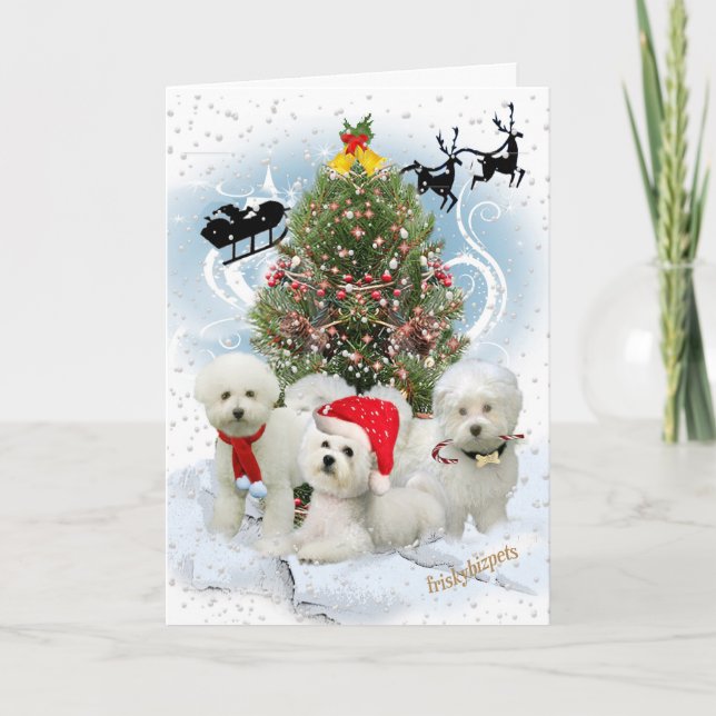 Bichon snöig juldagenkort helgkort (Framsida)