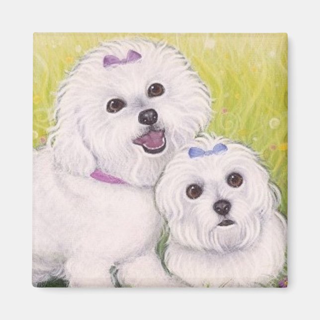 Bichon Spädbarn Magnet (Framsidan)