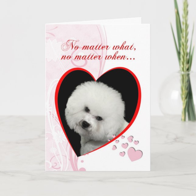 Bichon Valentines kort (Framsida)