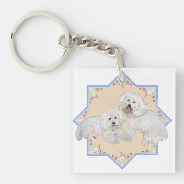 Bichons stranddagar (Framsidan)