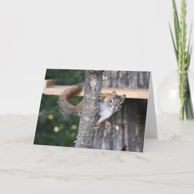 Bickles-hälsningskort Kort (Framsida)