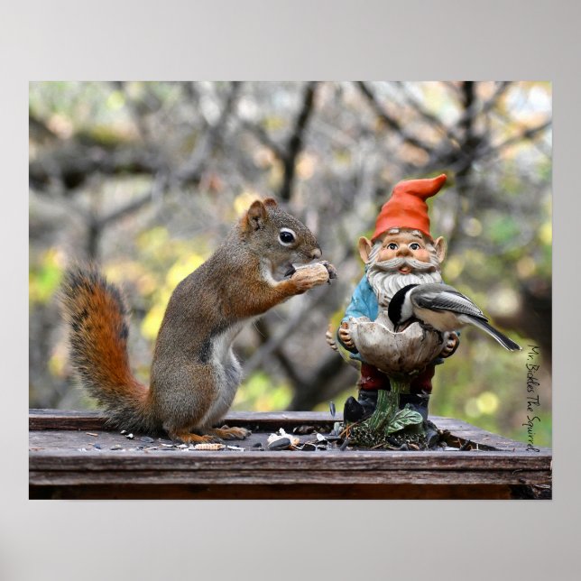 Bickles The Squirrel poster (Framsidan)