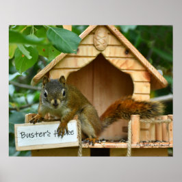 Bickles The Squirrel poster