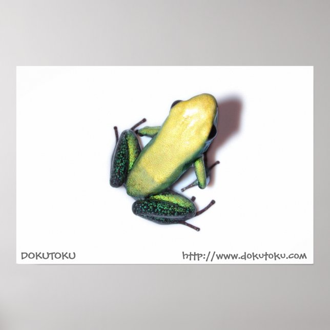 Bicolor Poster (Framsidan)