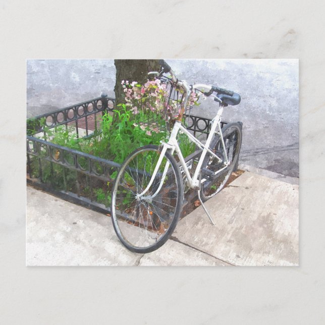 BICYCLE MED BASKET PÅ BLOMMASKINSTKORT VYKORT (Framsida)