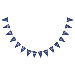 Biden Harris Party Vimplar