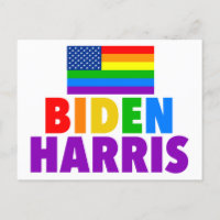 Biden Harris Rainbow American Flagga Gay pride