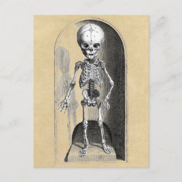 Bidloo Mediccal Illustration (främre) Vykort
