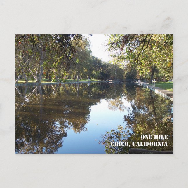 Bidwell Park-vykort Vykort (Framsida)