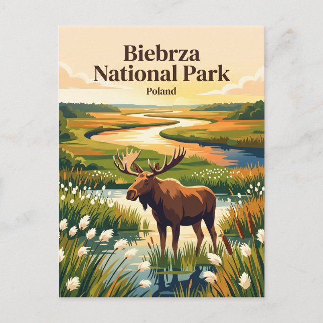 Biebrza nationalpark Polen Vykort (Framsida)