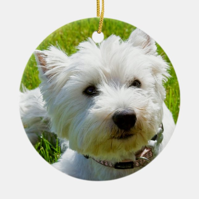 Biene Julgransprydnad Keramik (Framsidan)