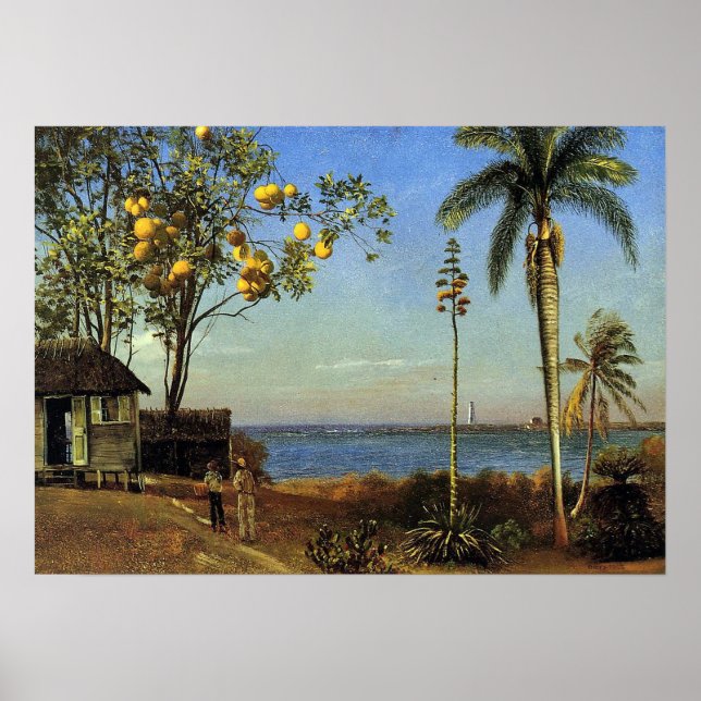 Bierstadt - En vy i Bahamas Poster (Framsidan)