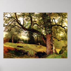Bierstadt - Ett spår genom Träd Poster