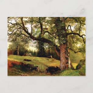 Bierstadt - Ett spår genom Träd Vykort
