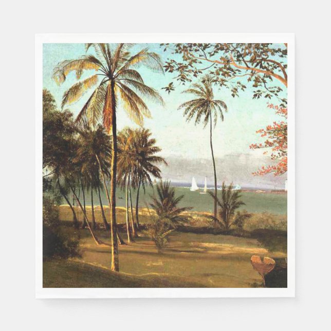 Bierstadt - Florida Scene Pappersservett (Framsidan)