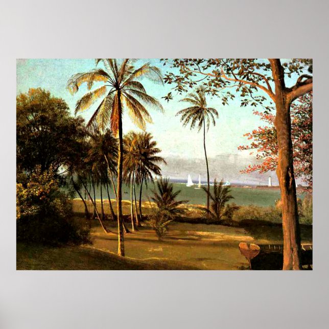 Bierstadt - Florida Scene Poster (Framsidan)