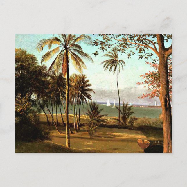Bierstadt - Floridascen, finkonst målning, Vykort (Framsida)