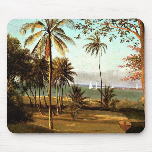 Bierstadt - Floridascen Musmatta (Framsidan)